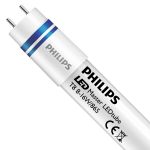 Philips tube LED 60cm | 6500K 8W - Master HO